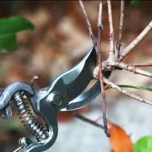 Kit Jogo Jardinagem Jardim Pá Tesoura Poda Luva 5 Peças - Imagem 8