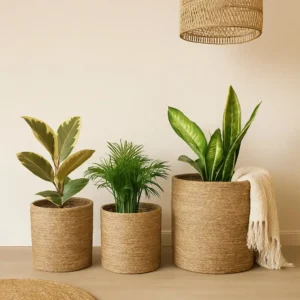 3 Cestos Organizador Rusticos Decoração Sala Quarto Liso Vaso Cachepot Palha Natural P M G Decora Ambiente Boho Cesta Com Proteção Multiuso Organização Decorativo Plantas Artificiais Ou Naturais - Imagem 2
