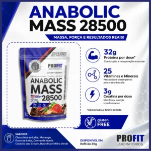 Hipercalórico Anabolic Mass 28500 - 3kg - Profit Labs Sabor Chocolate com Morango - Imagem 6