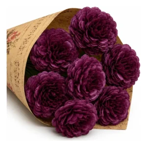Buquê De Flores Para Namorada Pinóquio Marsala Partitura Marsala - Imagem 5
