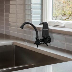 FILTRO AQUABIOS ACQUA E05 COM TORNEIRA QUADRISETA BICA MOVEL 1/4 DE VOLTA PRETA PARA PAREDE - Imagem 2