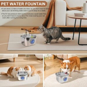 Fonte de Água pra Gato, Bebedouro para Gatos Silenciosa Inox Carvão Ativado LED Indicador Fonte De Água para Cães e Gatos (2,2L MG10) - Imagem 7