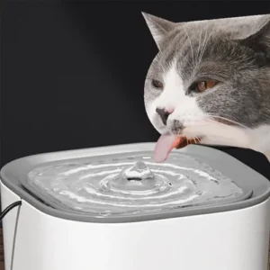 Fonte Bebedouro Gatos Cães Automático Filtra A Água Geniali Cor Branco - Imagem 9