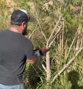 Mini Motosserra Elétrica Portátil 6 Polegadas 21v Duas Baterias Recarregável Serra De Poda Para Jardim E Árvores - Imagem 2