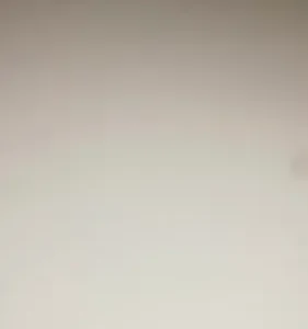 Chocadeira 50 Ovos Galinha Rolagem Automatica + Ovoscopio - Imagem 2