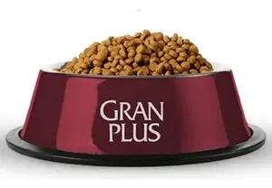 Ração Gran Plus Choice Adultos Sabor Frango E Carne 15kg - Imagem 2