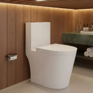 Vaso Sanitário Monobloco Extra Grande Privada Completo Caixa - Imagem 9