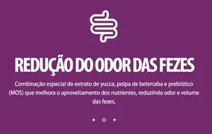 Ração Gatos Adultos Quatree Gourmet Mix De Carnes 10,1kg - Imagem 4