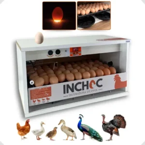 Chocadeira 50 Ovos Galinha Rolagem Automatica + Ovoscopio - Imagem 3