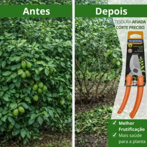 Conjunto Jardinagem 5 Peças Tramontina + Luva Jardim Brinde - Imagem 3