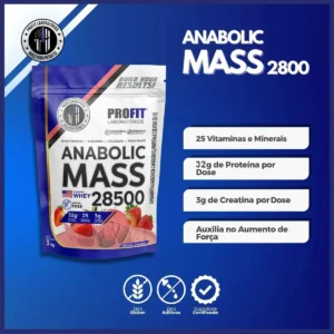 Hipercalórico Anabolic Mass 28500 3kg Profit Labs Sabor Morango - Imagem 4