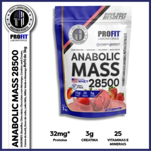 Hipercalórico Anabolic Mass 28500 3kg Profit Labs Sabor Morango - Imagem 7
