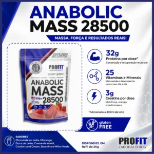 Hipercalórico Anabolic Mass 28500 3kg Profit Labs Sabor Morango - Imagem 6