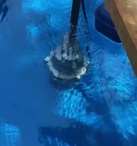 Bomba Robusta Submersa P/poço 980plus C/1 Abrç Inóx 0.5hp 1p - Imagem 2