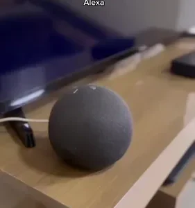 Amazon Echo Dot 5a Geração Alexa Smart Speaker Azul - Imagem 2