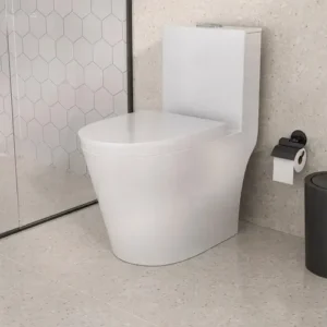 Vaso Sanitário Monobloco Caixa Acoplada Completo Privada C - Imagem 3