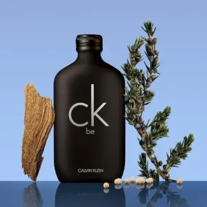 Perfume Masculino e Feminino Ck Be Eau de Toilette 200ml Calvin Klein - Imagem 4