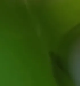Ralador Queijo Fatiador Legumes Cortador Vegetais 3 Em 1 - Imagem 11