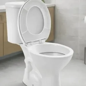 Vaso Sanitário + Caixa Acoplada Hervy Louças - Imagem 2