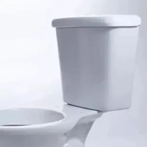 Vaso Sanitário + Caixa Acoplada Hervy Louças - Imagem 5