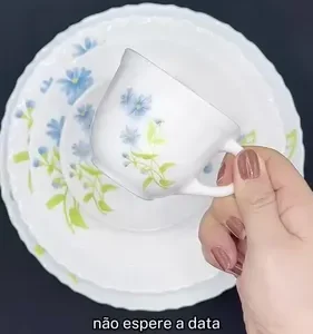 Aparelho De Jantar E Chá 20 Peças Opaline Branco Mesa Posta - Imagem 2