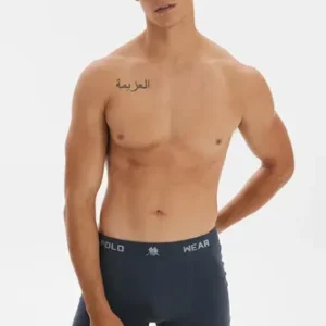 Kit 10 Cuecas Boxer Elástico Com Logo Polo Wear Sortido - Imagem 3