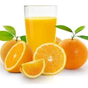 Espremedor de Fruta Industrial Metal Fenix 500W Inox Bivolt Limão Laranja - Imagem 5