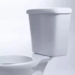 Vaso Sanitário + Caixa Acoplada Hervy Louças - Imagem 3
