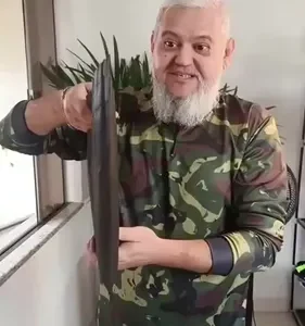 FALLOVE Churrasqueira Portátil Dobrável Inox Aço Inoxidável Carvão Pequena Prateado - Imagem 2